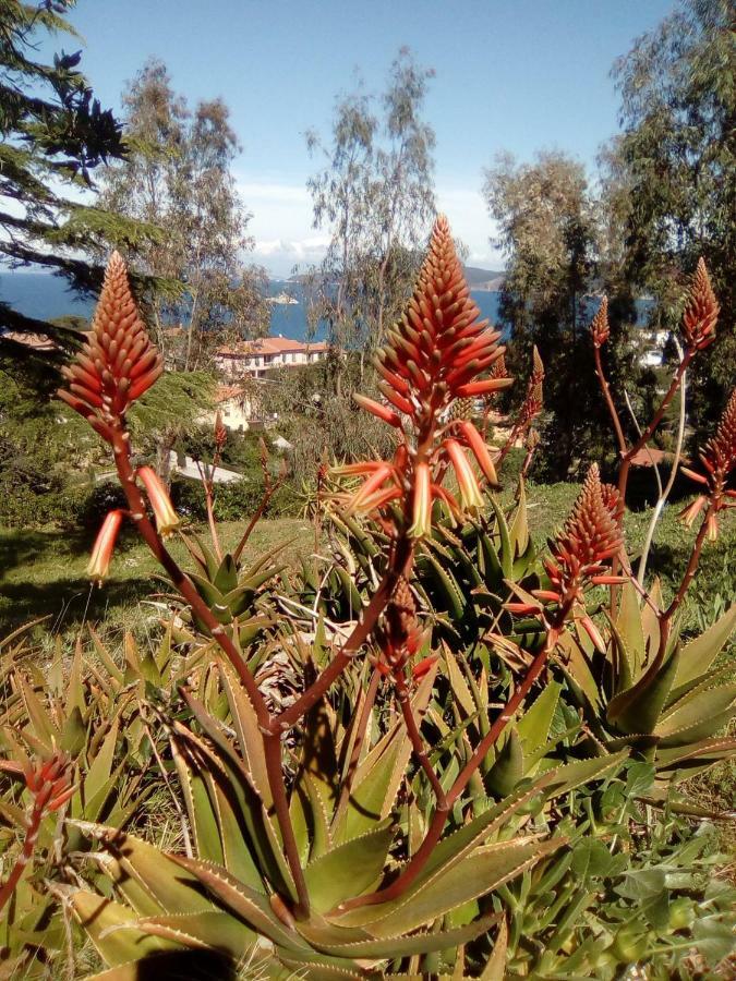 Sansone Διαμέρισμα Portoferraio Εξωτερικό φωτογραφία