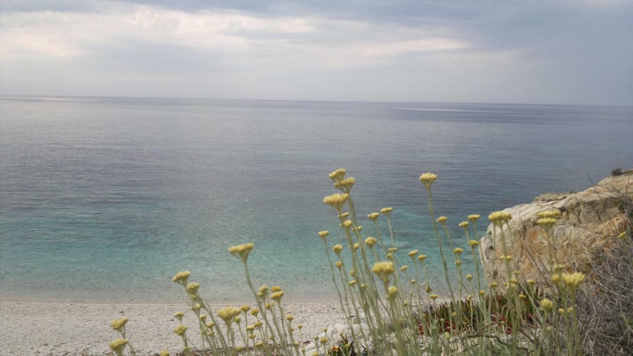 Sansone Διαμέρισμα Portoferraio Εξωτερικό φωτογραφία